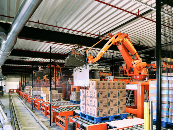 Robot die dozen op een pallet stapelt